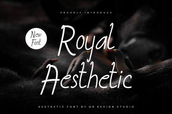 Royal Aesthetic Font Review for Social Campaigns